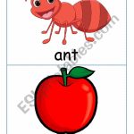 Ants In The Apple Flash Cards | Ants On The Apple Printable Cards