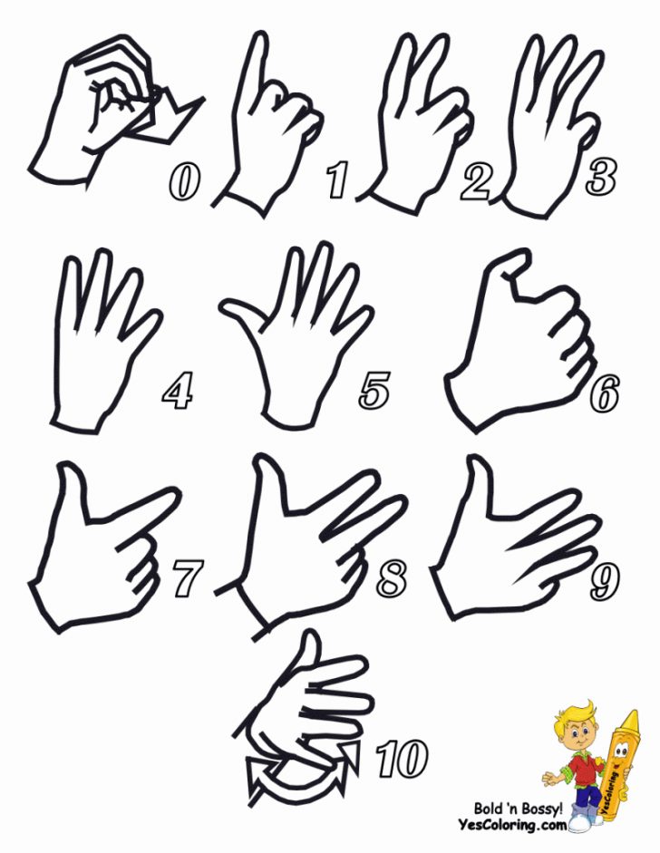 British Sign Language Flash Cards Free Printables