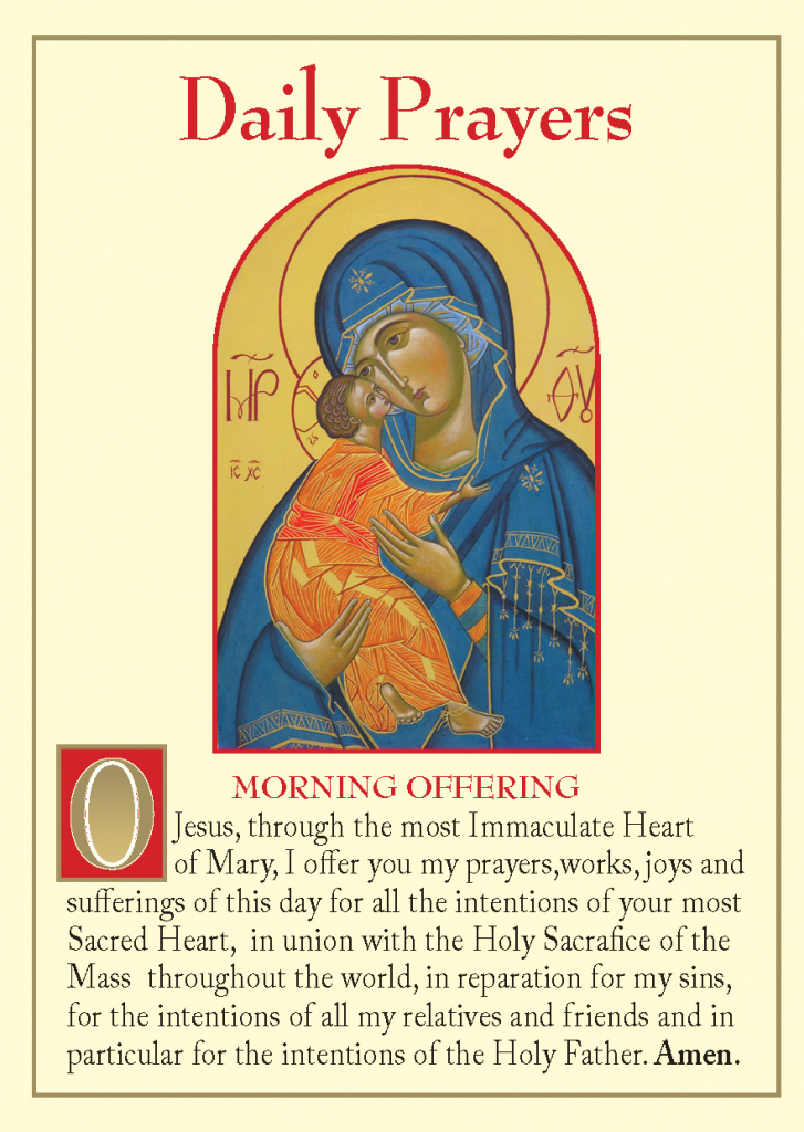 Daily Prayers (Pack Of 20) | Angelus Prayer Card Printable