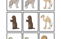 Desert Animal Printables – Teaching Mama | Animal Matching Cards Printable