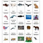 Food Chain Game.pdf | Science Ecosystems | Food Chain Game, Science | Printable Food Web Cards