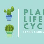 Free Online Flashcard Maker: Design Custom Flashcards   Canva | Free Printable Flash Card Maker Online