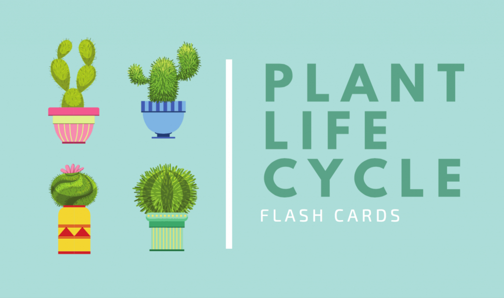 Free Online Flashcard Maker: Design Custom Flashcards - Canva | Free Printable Flash Card Maker