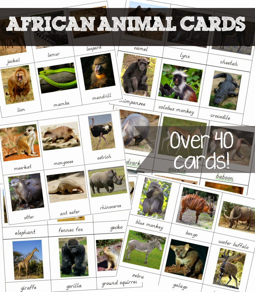 Free Printable African Animal Cards - Welcome To Mommyhood | Free Printable Animal Cards