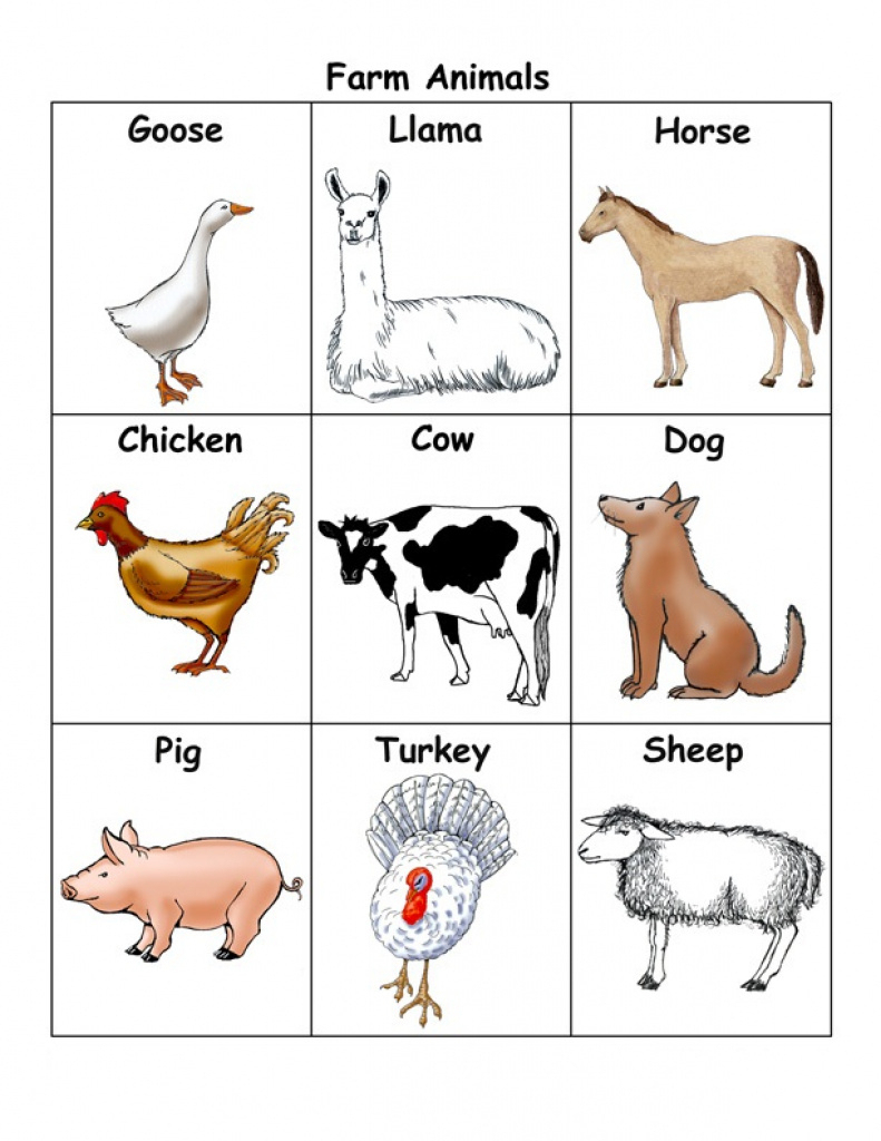 Free Printable Animal Cards | Free Printables | Free Printable Farm Animal Flash Cards