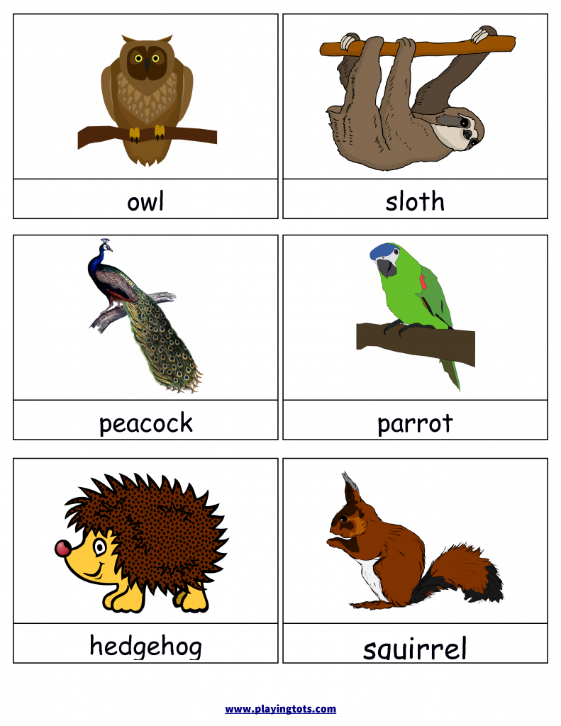 Free Printable Animals Flash Cards | Free Printable For Learning | Free Printable Animal Cards