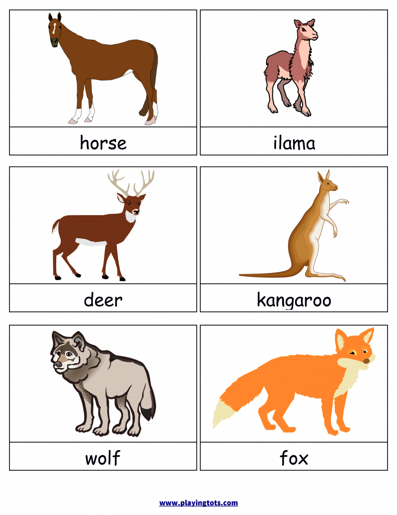 Free Printable Animals Flash Cards | Jocuri Copii | Flashcards For | Free Printable Animal Cards