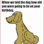 Free Printable Funny Birthday Cards For Adults   Printable Cards | Free Funny Printable Cards