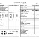 Free Printable Progress Reports   Kleo.bergdorfbib.co | Free Printable Kindergarten Report Cards