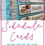 Freebie Schedule Cards | Classroom (When I Go Back :) | Classroom | Free Printable Schedule Cards