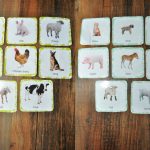 Montessori Inspired Farm Animal Cards | This Girl's Canon | Farm Animal Cards Printable