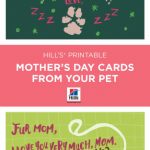 Mother's Day | Things We Love | Dog Mothers Day, Mothers Day Cards | Free Printable Mothers Day Card From Dog