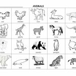 Printable Animal Flash Cards (87+ Images In Collection) Page 1 | Animal Snap Cards Printable